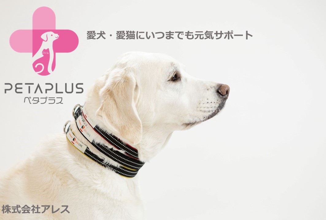 アレス　コロバニィ ペタプラス 犬用首輪 YORISOUカラー レッド S 首周り23-35cm 内容量1本　60163S コロバニィ ペタプラス PETAPLUS